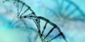 Le fabuleux potentiel des cellules souches et des biotherapies
