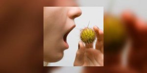 Peut-on prevenir les allergies alimentaires ?