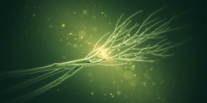 La sante du futur s-inspirera-t-elle du vivant?