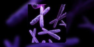 La duree de vie des trisomiques s-allonge