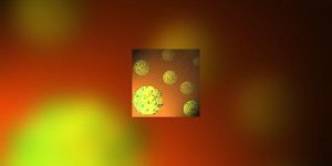 Sida et hepatite C : liaison dangereuse