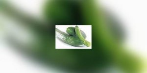 Dans votre assiette : le concombre