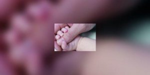 La declaration de naissance