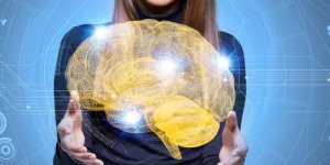Insolite : 9 choses que vous ignorez sur le cerveau