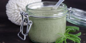 Les algues : des vegetaux surdoues qui sauvent notre peau