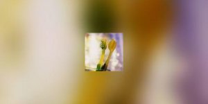Prevention hepatite C : a chacun sa brosse a dents