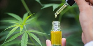 Le top 6 des huiles essentielles a avoir chez soi