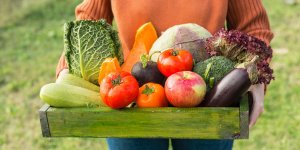 Pourquoi faut-il manger bio le plus souvent possible ?