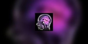 Alzheimer contre Parkinson