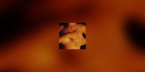Pour les femmes ayant une predisposition genetique au cancer du sein : bloquer la progesterone pourrait limiter les risques de developper le cancer