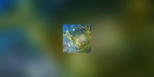 Alcool : votre corps se souvient de chaque verre