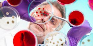 Hemophilie : une maladie rare, essentiellement masculine