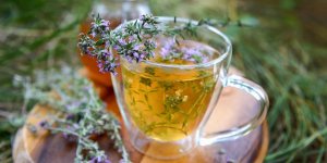4 plantes pour bien dormir