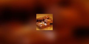 Dans votre assiette : le chocolat
