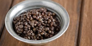 Salade de lentilles, champignons vinaigres et crus