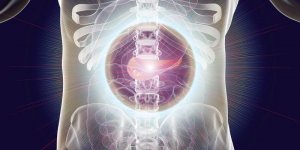 Cancer du pancreas : comment s-en proteger