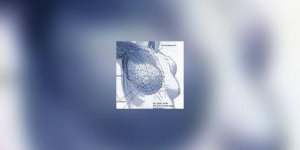 Cancer du sein : annonce et qualite de vie a ne plus negliger !