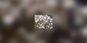 Ecstasy et Parkinson : l-erreur est humaine