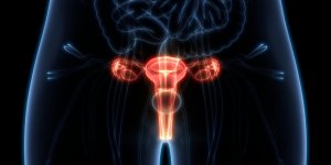 Un gyneco accuse d’avoir effectue des hysterectomies a l-insu de ses patientes