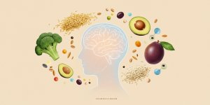 L-assiette, votre pharmacie naturelle : un menu equilibre pour des neurotransmetteurs au top