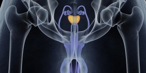 Prostate : les operations possibles 
