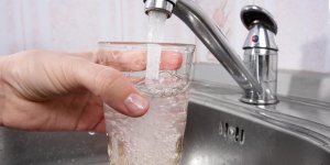 De l-arsenic dans notre assiette ! 