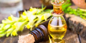 Urticaire : les huiles essentielles a tester