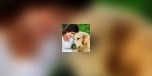 Sante animale : mieux comprendre son chien pour gerer ses mauvaises habitudes