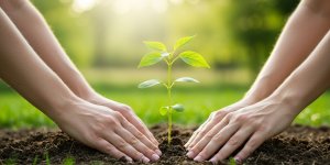 Le jardin, une ecole de pleine conscience pour cultiver la resilience au fil des saisons