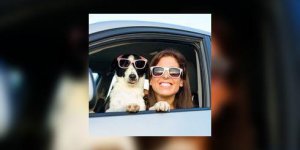 Emmener son animal de compagnie en vacances : ce qu’il faut savoir