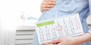 Semaines et mois de grossesse : comprendre le calendrier de sa grossesse