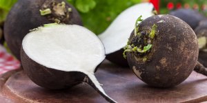7 astuces pour detoxiquer son foie