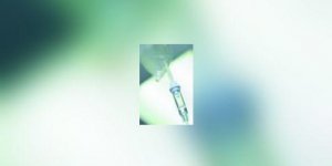 Diabete : halte a la negligence !