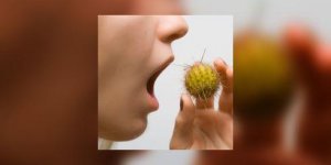 Et si c’etait une allergie alimentaire ?