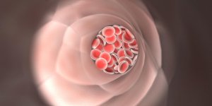 Quel est le taux ideal de cholesterol ?