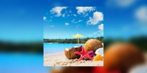 Location de vacances : quand c’est la misere dans la cuisine