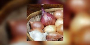 Ail, oignon, poireau, legumes anti-arthrose