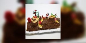 Fetes J - 4 : une buche glacee maison en dessert ?