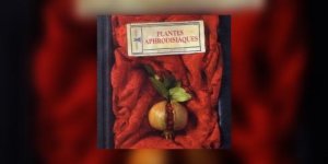 Plantes aphrodisiaques