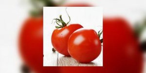 Les tomates : comment bien les choisir