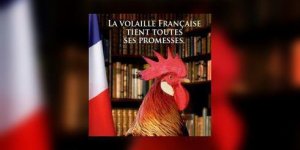 Mars, mois de la Volaille francaise 