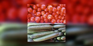 Fruits et legumes au prix de gros…