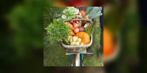 En direct des jardins de France