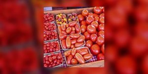 Et si vous choisissiez de bonnes tomates ?