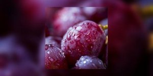 Sucettes de raisin salees et sucrees