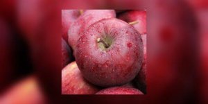 Mangez des pommes !