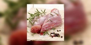 Comment choisir un bon lapin ?