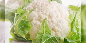 Pourquoi vous devez manger du chou-fleur 