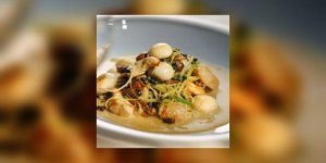 Saint-Jacques, tagliatelles de celeri et truffe