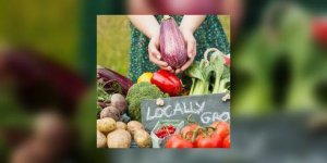 Pourquoi devez-vous manger bio le plus souvent possible ?